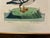 Vintage Goosander Merganser Ornithological Bird Print in Dark Wood Frame For Sale - Image 4 of 5