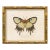 Reproduction Vintage "Garden Friends" Art Print (15), Framed Butterfly For Sale