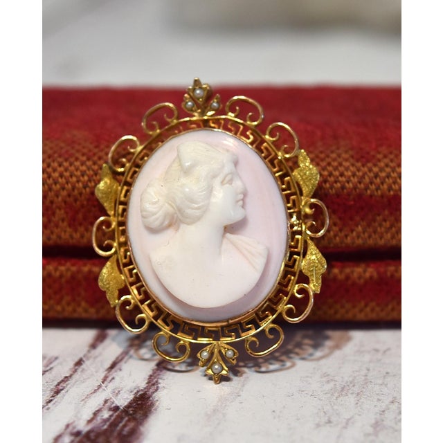 Victorian Antique 14k Conch Shell Cameo With Seed Pearls Brooch and Pendant For Sale - Image 3 of 13