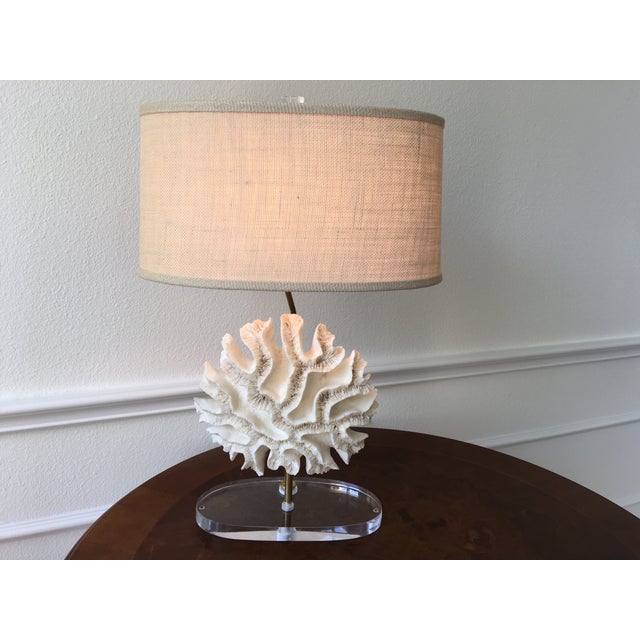 Natural Coral Lamps Pair Chairish