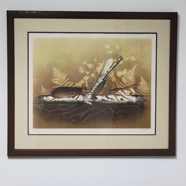 Charles Gaidy Signed Artist’s Proof Insect Print, c.1973 For Sale - Image 4 of 9