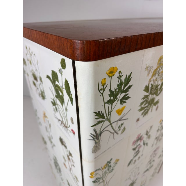 1940’s Swedish Cabinet With Nordens Flora Illustrations For Sale - Image 9 of 11