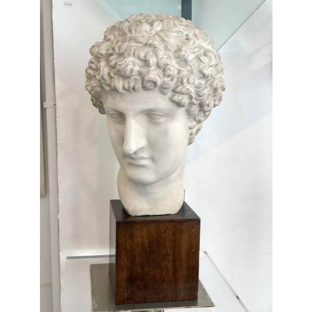 Sculpture Materials Hermes Head, 1970s, Plaster For Sale - Image 7 of 7
