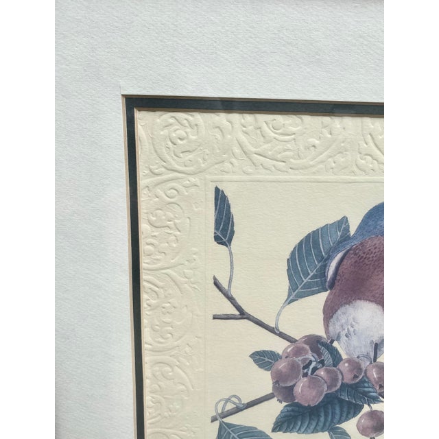 Vintage Peg Wheeler Hope Ornithological "Eastern Bluebird" Framed Embossed Lithograph Print Excellent Condition. For Sale - Image 11 of 17