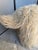 2000 - 2009 Bench by Edna Cataldo Bighorn Sheep Sculpture Sheep Manner of Francois-Xavier Lalanne For Sale - Image 5 of 18