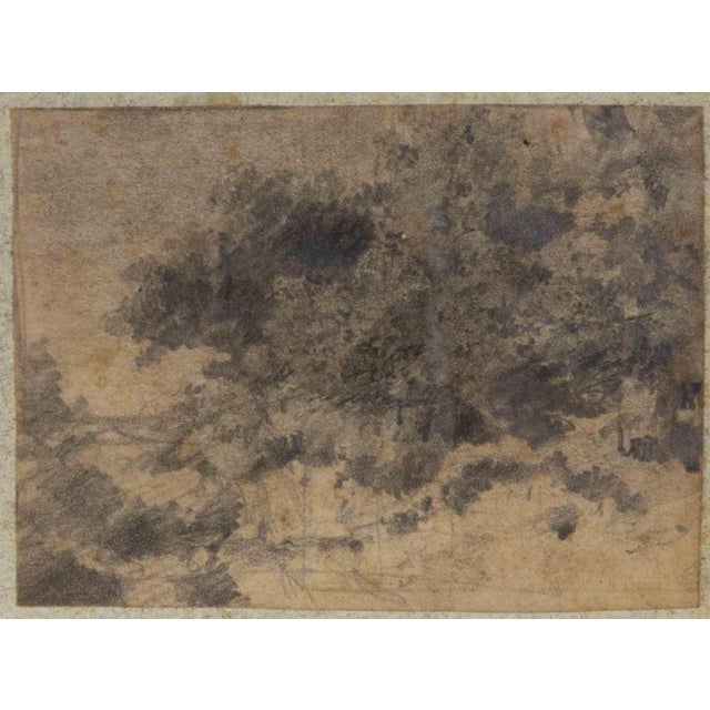 Landscape is an original artwork realized in the late 19th Century by Luigi Galli. Pencil on paper. Good conditions but...