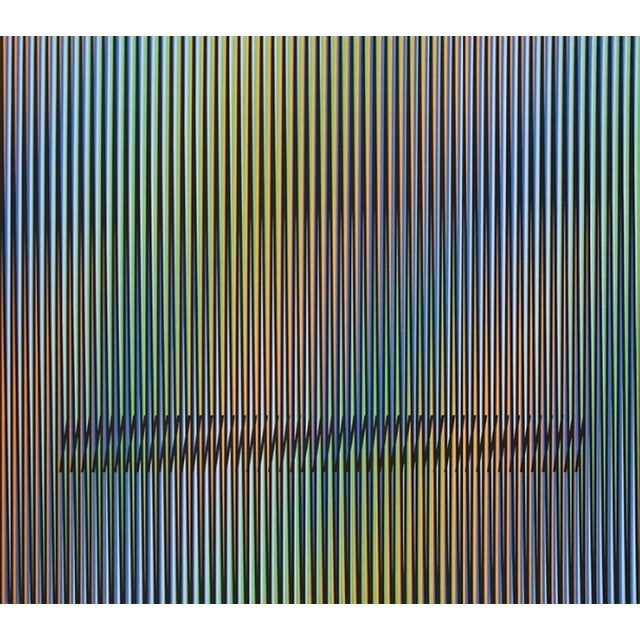 Carlos Cruz-Diez Caura 14 Original lithography signed in the back pencil on 75 - Caura 14 60 x 70 Edited in 2015...