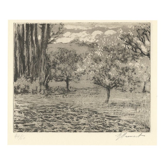 Raphaël Drouart, La Cave Aus Fées (The Fairies' Cave), 1920s, Etching For Sale