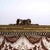 Louis XVI Sofa in Tapestry For Sale - Image 5 of 14