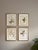 This beautiful set of 4 framed original vintage botanical wild flower prints were published in 1953. These 72 year old...