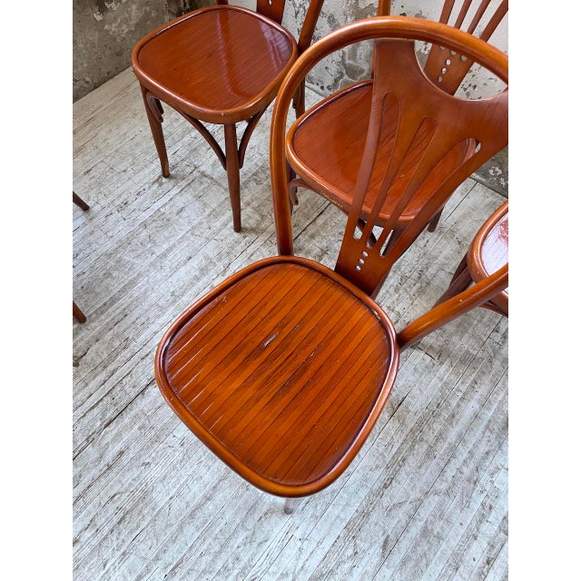 Vintage Bistro Chairs, 1950s, Set of 6 For Sale - Image 16 of 18