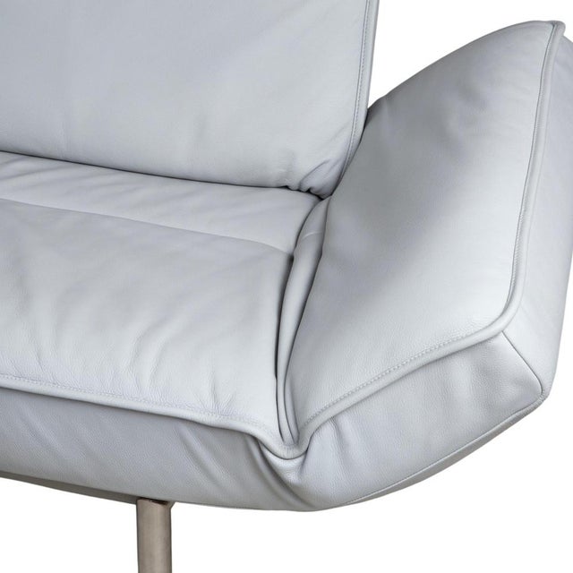 Animal Skin Leather DS-450 Two-Seater Sofa with Manual Function from de Sede For Sale - Image 7 of 16
