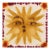 Sun No.11 - Original Contemporary Folk Art Acrylic and Gouache Painting on Raw Canvas by Meredith Walker For Sale