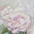 Original oil painting by Sean Wu, A bunch of pale pink roses in a glass vase.