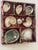 Nature’s Beauty special selection of gorgeous mother of pearl abalone , nautilus sea shells in beautiful tapestry tray.