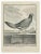 The Cocquar is an Etching Realized in 1771 by Louis Legrand (1723-1807). Titled and signed on the flat. The Artwork...