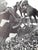 Traditional Polo News May 19 1976 For Sale - Image 3 of 12