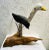 1990s Vintage Coastal Hand-Carved and Painted Large Seagull Driftwood Statue For Sale - Image 5 of 13
