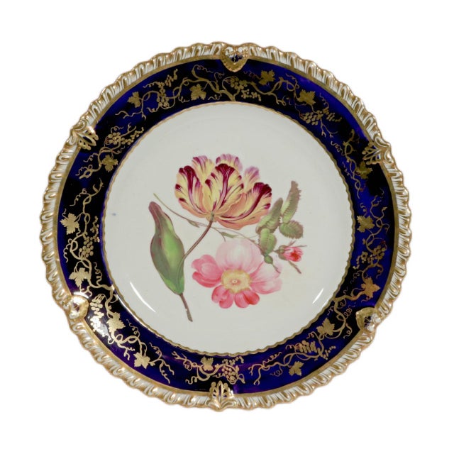 Coalport Porcelain Coalport Porcelain Botanical Plates, Set of Twelve, John Rose For Sale - Image 4 of 16
