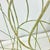 1940s Vintage French Neoclassical Iron Fluer De Lis Monumental Topiary Frames - Set of 3 For Sale - Image 17 of 18