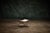 This is a French curule stool from the 1980s featuring a rustic design with a wrought iron frame and a woven natural fiber...