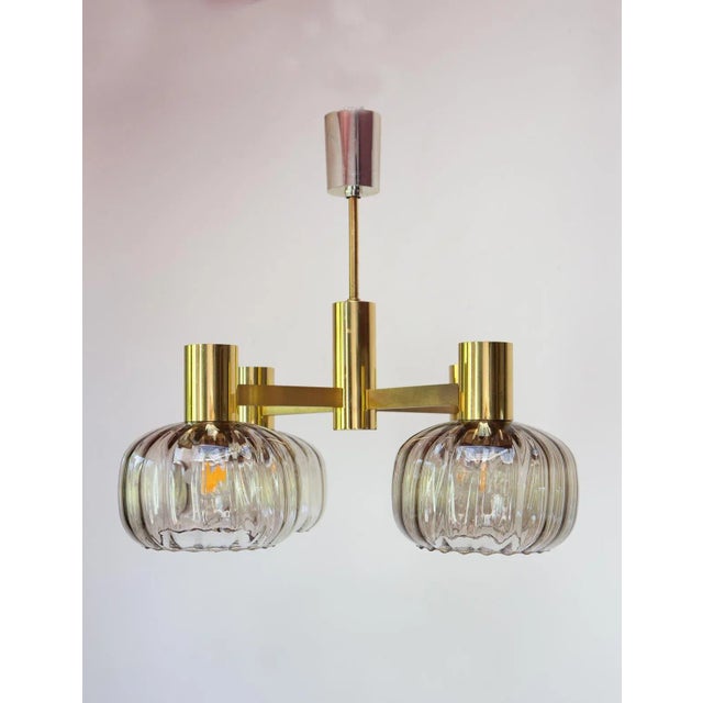 1960s Mid-Century Brass Pendant Light with Glass Tulips, 1960s For Sale - Image 5 of 9
