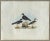 1840s John Selby Plover Ornithological Engraving For Sale - Image 4 of 5
