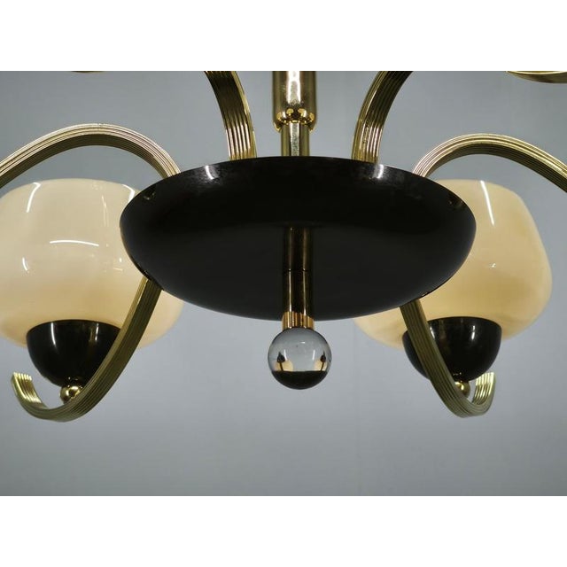 Italian Brass Chandelier with Opaline Glass Shades, 1950s For Sale - Image 9 of 17