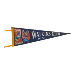 Vintage Watkins Glen Ny Felt Flag