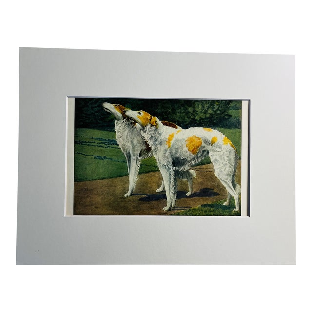 1919 Russian Wolfhound Dog Print For Sale