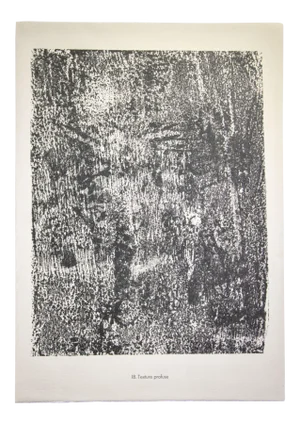 Jean Dubuffet, Texture Profuse, Lithograph, 1959
