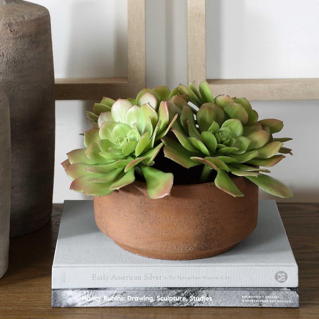 Modern Sable Succulent Accent In Pot For Sale - Image 3 of 7