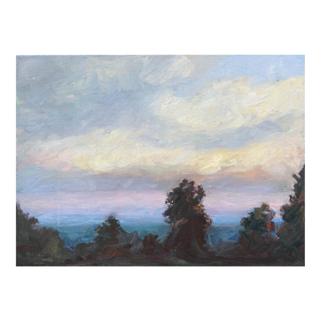 Unknown Pacific Ocean From Santa Cruz Mountains Landscape 1990s For Sale