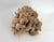 Exceptional unbleached natural Poca coral with flowery detail that displays beautifully. Each piece is cleaned and trimmed...