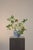 Contemporary Long Weekend Floral Arrangement by Apartment 387 For Sale - Image 3 of 5