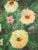 M. Ittesor, Still Life, 20th Century, Oil on Canvas, Framed For Sale - Image 11 of 18