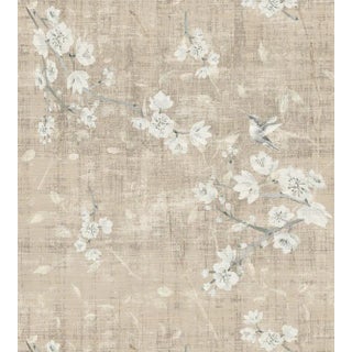 Nicolette Mayer through The House of Scalamandre Blossom Fantasia Wallcovering, French Gray For Sale