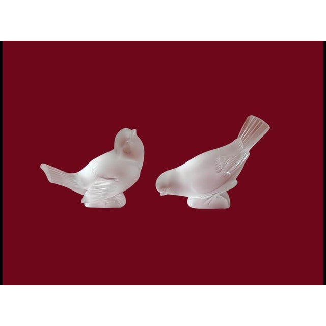 Elegant handcrafted frosted crystal birds by Lalique, showcasing timeless artistry. A decorative set for enhancing...