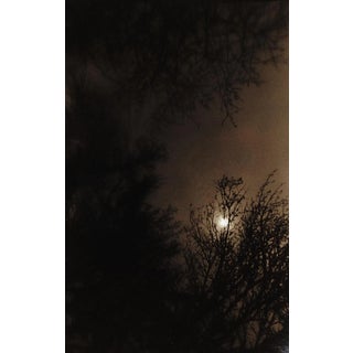 Vintage 1990's Sepia Toned Sunset Landscape Photograph For Sale