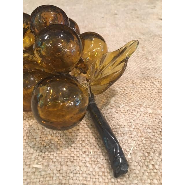 Glass Amber Murano Style Glass Grape Cluster For Sale - Image 7 of 8