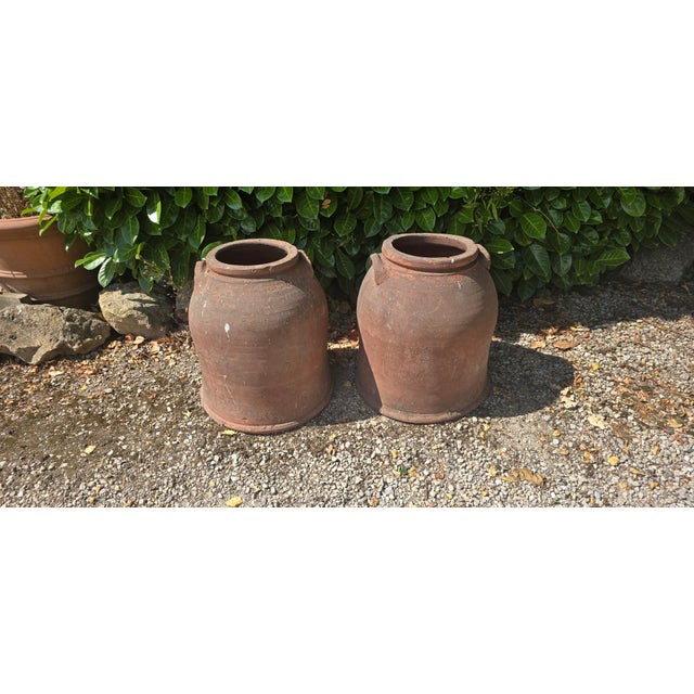 Large Victorian Rhubarb Forcers, 1880, Set of 2 For Sale - Image 3 of 5