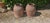 Large Victorian Rhubarb Forcers, 1880, Set of 2 For Sale - Image 3 of 5