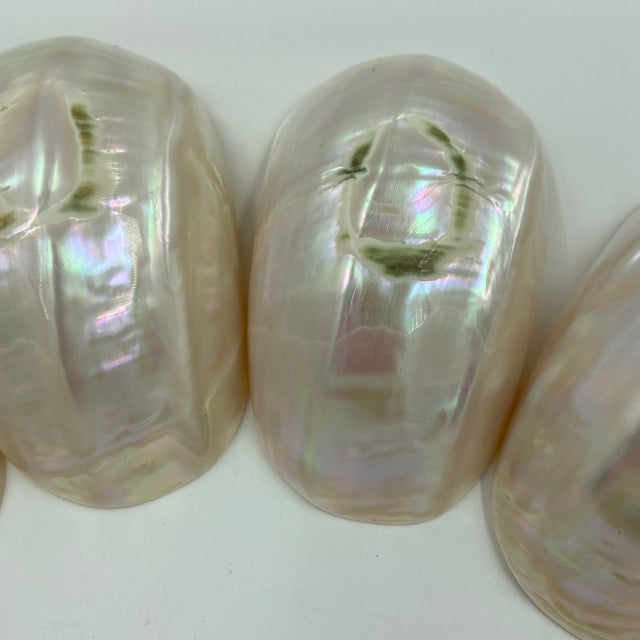 Late 20th Century Caviar Mother of Pearl Bowls - 12 pcs For Sale - Image 4 of 12