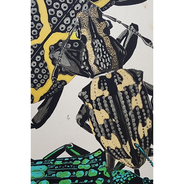 Original Seguy Insect From 1924 Antique Pochoir Plate #14 For Sale - Image 11 of 12