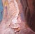 Figurative Outstretched by Matt Talbert | Oil On Linen Panel Figure of a reclining nude woman. For Sale - Image 3 of 5