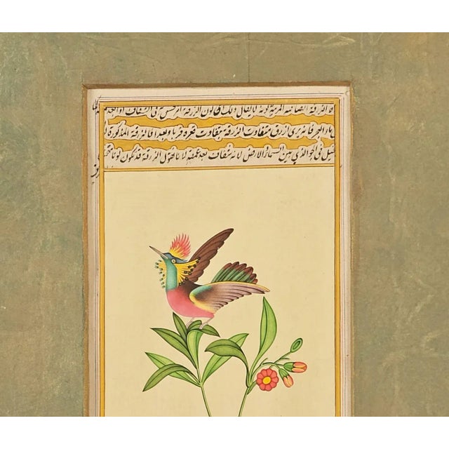 Realism Miniature of Hummingbird, India Circa 1870 For Sale - Image 3 of 4