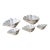 Set of 5 Large Natural Nautical Seashells | Coastal Beach House Decor | Organic Sculptural Display For Sale