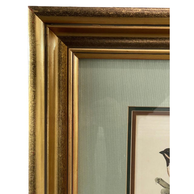 19th Century Antique English Bird Engraving For Sale - Image 4 of 4