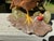 Pair of Glazed Ceramic Bobwhite Quail For Sale - Image 10 of 12