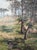 1900 - 1909 Antique 1800s Pastoral Landscape - Signed Oil on Canvas For Sale - Image 5 of 6